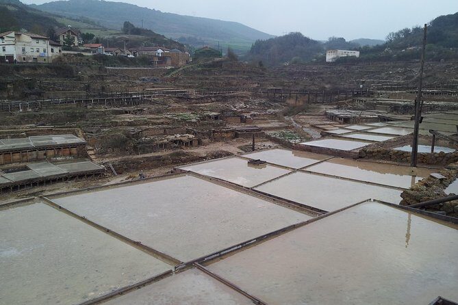 Luxury Tour By Alava (Vitoria-Gasteiz and Salinas De Añana) - Who Will Love This Tour?