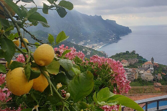 Luxury Tour from Positano to Pompei Ravello Amalfi - In The Sum Up: Is it Worth It?