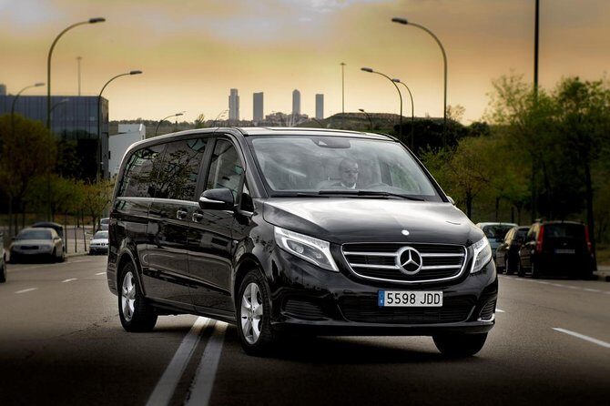 Luxury Van from Cannes, Monaco or Cap d Antibes to Nice Airport - Key Points