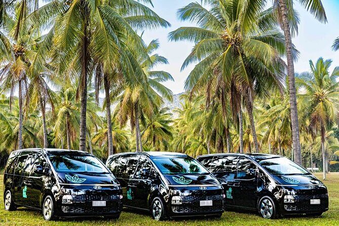 Luxury Van, Private Transfer, Port Douglas - Cairns - The Sum Up