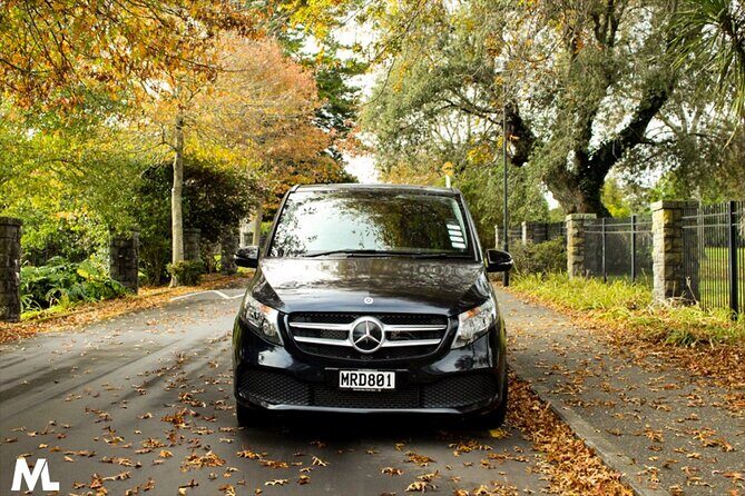 Luxury Van - Sydney Airport Private Arrival Transfer - The Experience in Detail