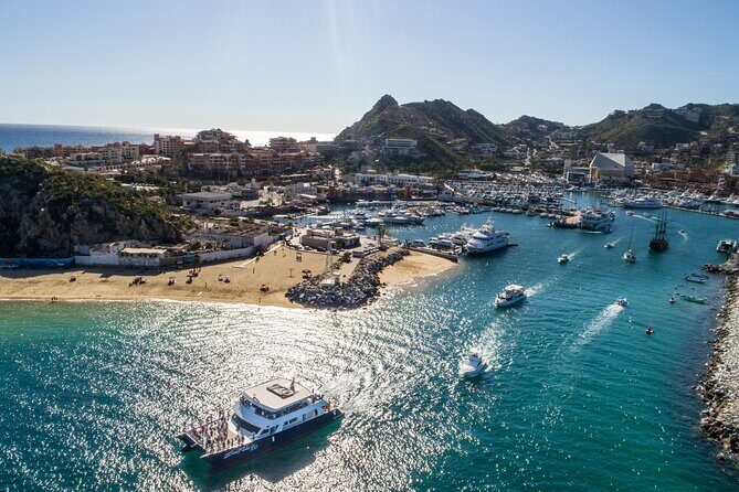 Luxury Whale Watching Dinner Cruise in Cabo - An In-Depth Look at the Experience