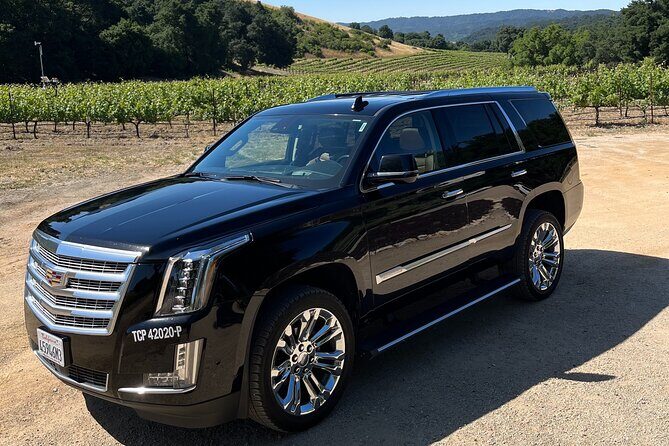 Luxury Wine Tour in Paso Robles, with a Winemaker - An In-Depth Look at the Luxury Paso Robles Wine Tour
