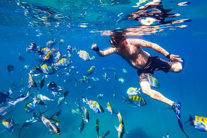 Luxury Yacht & Snorkel with All inclusive Open bar and lunch - The Bottom Line: Who Should Consider This Tour?