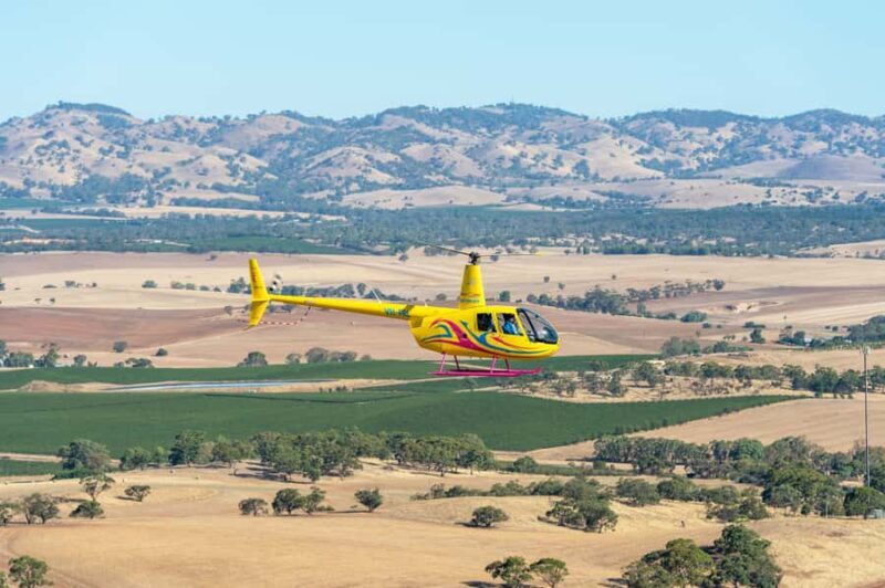 Lyndoch: Barossa Valley Helicopter Flight & Romantic Picnic - An Insider Look at the Experience