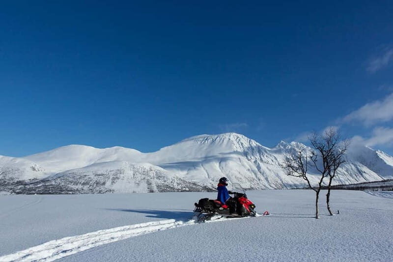 Lyngen Alps: Snowmobile Safari in the Arctic Wilderness - The Ultimate Arctic Snowmobile Adventure: What You Need to Know