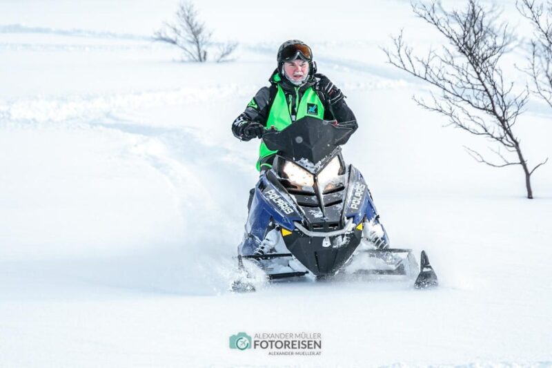 Lyngen: Snowmobile Safari with Lunch in seaside Restaurant - Key Points