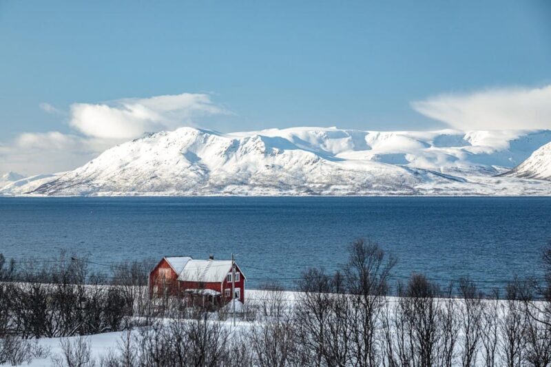 Lyngen: Snowmobile Safari with Lunch in seaside Restaurant - The Sum Up