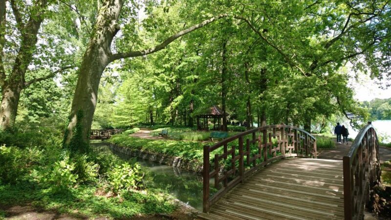 Lyon: 'Parc de la Tête d'Or' Urban Park Walking Tour - An In-Depth Look at the Tour Experience