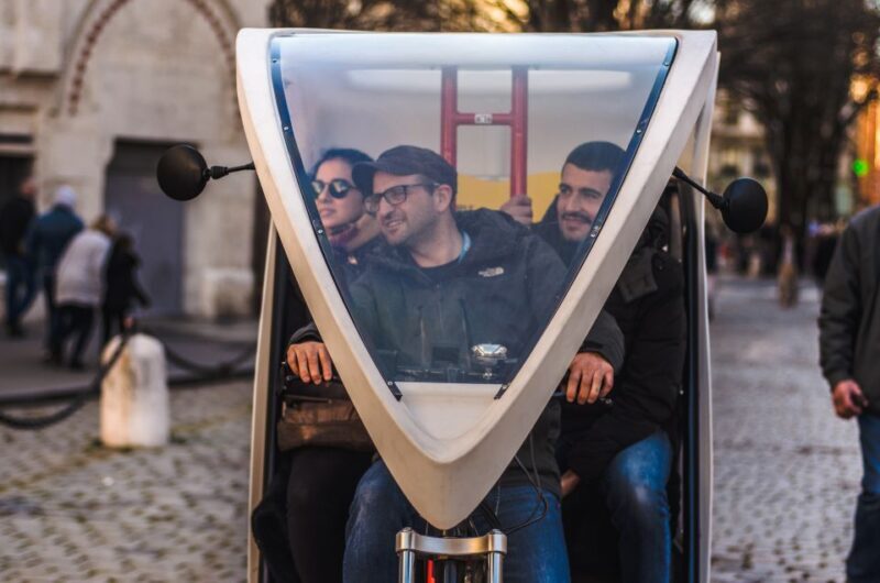 Lyon: Private Pedicab Tour of Top Landmarks & Hidden Gems - Value and Cost Analysis