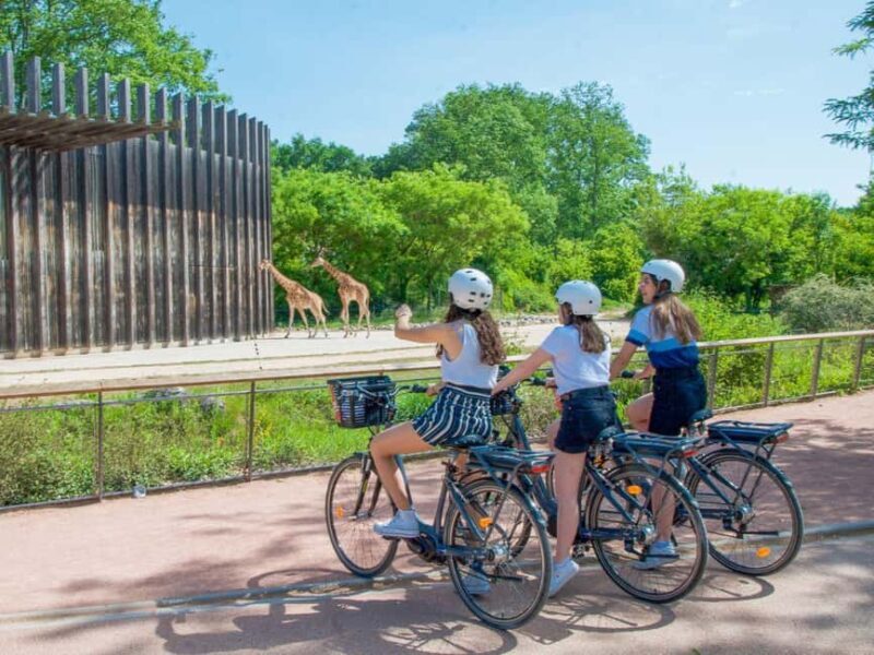 Lyon: Rent an electric bike for 2 hours - Key Points