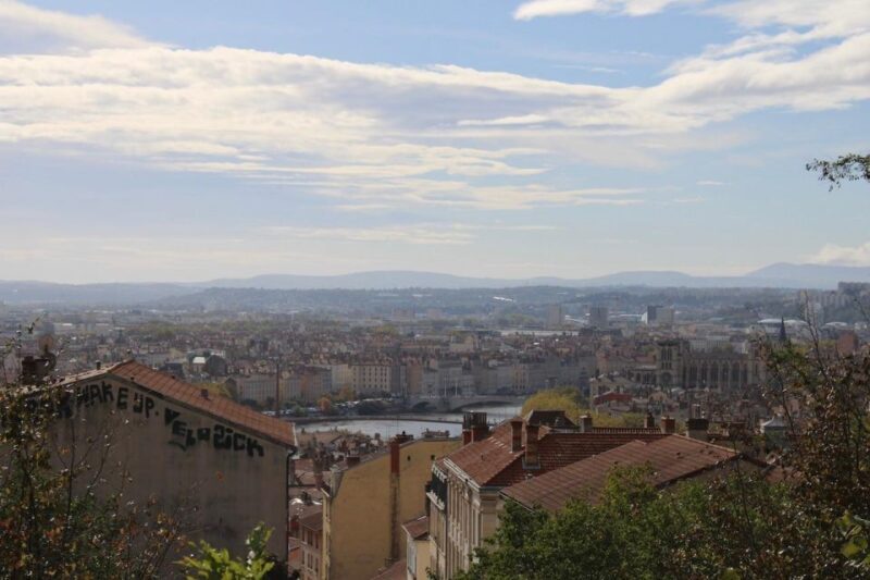 Lyon: Street Art & Street Food Tour - Limitations and Considerations