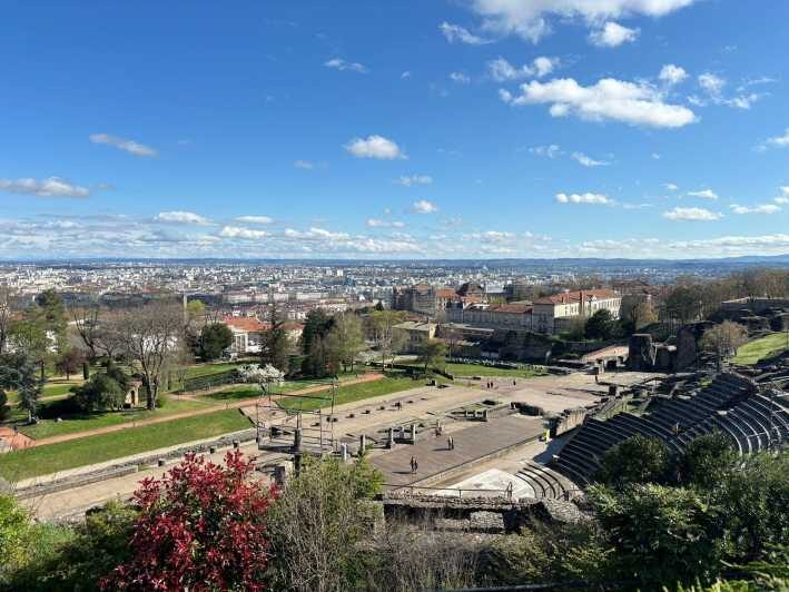 Lyon : Visit Lyon on a private half-day tour with a driver - A Detailed Look at the Lyon Private Half-Day Tour