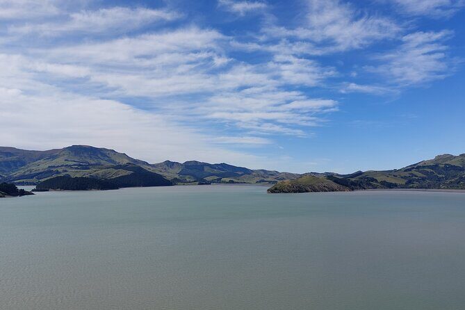 Lyttelton Shore Excursion: Christchurch Sightseeing with Antarctic Center - Stop 4: Cathedral Square