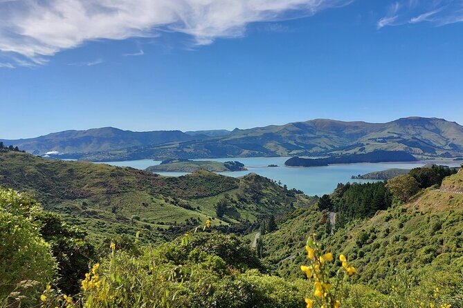 Lyttelton Shore Excursion: Christchurch Sightseeing with Jet Boating - Practical Details and Tips
