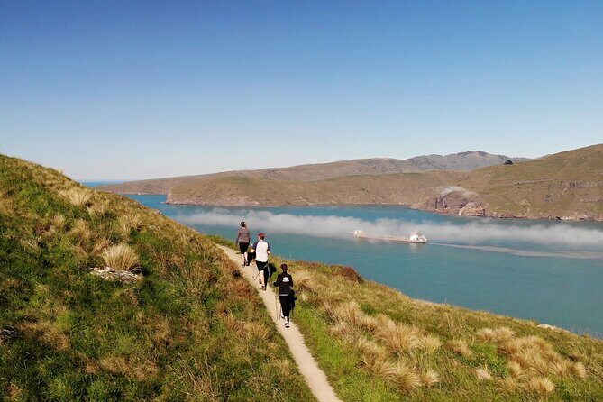 Lyttelton Shore Excursion - Guided Walking Tour and Picnic - Key Points