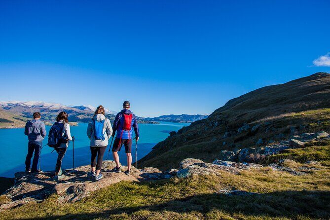 Lyttelton Shore Excursion - Guided Walking Tour and Picnic - What Makes This Tour Stand Out?