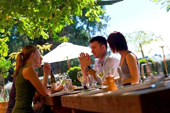 Lyttelton Shore Excursion - Waipara Wine Tour With Lunch - Lyttelton Shore Excursion - Waipara Wine Tour With Lunch: A Detailed Review