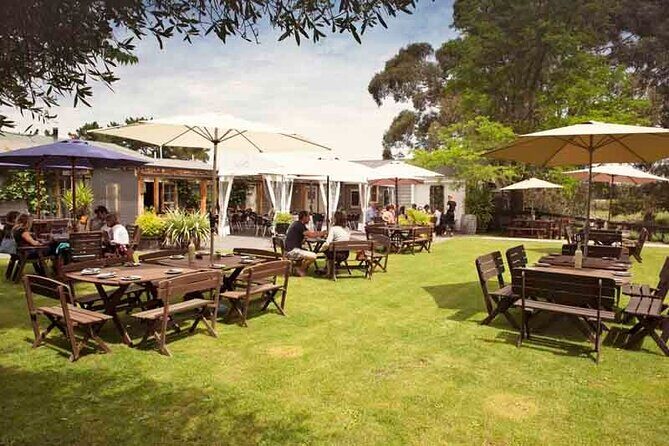 Lyttelton Shore Excursion - Waipara Wine Tour With Lunch - Key Points