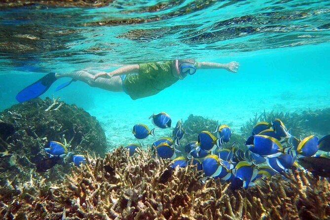 Maafushi: Full Day Snorkeling and Island Hopping Experience - Key Points:
