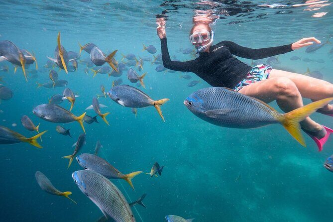 Maafushi: Full Day Snorkeling and Island Hopping Experience - Practical Details and What You Can Expect