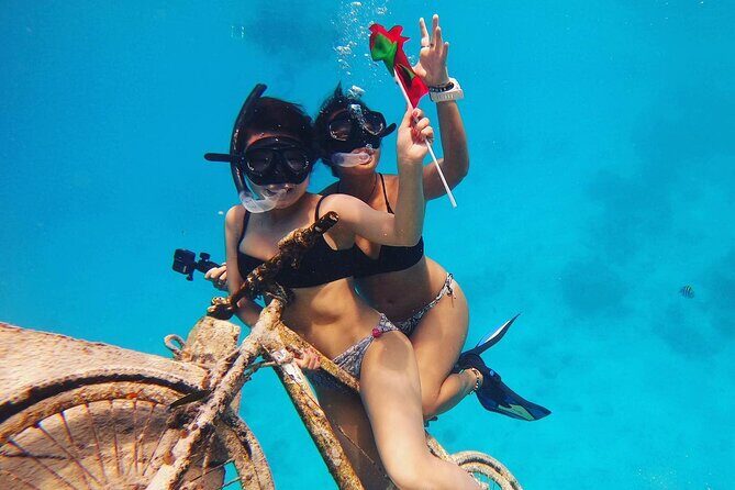 Maafushi: Ship wreck & Nurse shark snorkeling with Dolphin watching - What Travelers Should Know