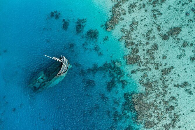 Maafushi: Ship wreck & Nurse shark snorkeling with Dolphin watching - Final Thoughts