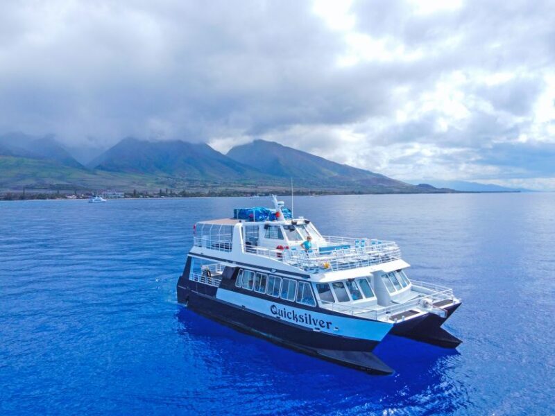 Ma'alaea Harbor: Whale Watching Tour Aboard Power Catamaran - Practical Details
