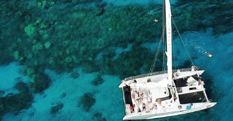 Maalaea: West Maui Snorkeling & Sailing Day Trip with Lunch - Wildlife and Scenic Views