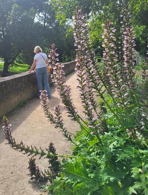 Maastricht Hidden Gems Tour Uncover the Unexpected - A Route Packed with Highlights