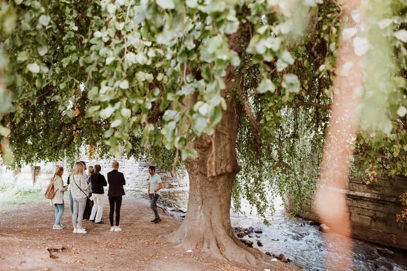 Maastricht: Highlights Tour with a local Guide - Authentic Experiences Highlighted by Reviews