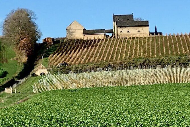 Maastricht Privat Sightseeing City Walk - Who Should Consider This Tour?