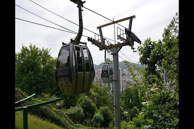 Macau Life Style Tour - LINE B - A Deep Dive into the Macau Life Style Tour - LINE B