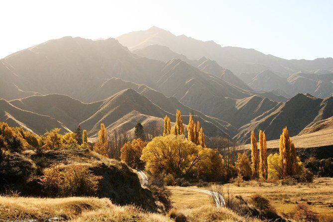 Macetown 4WD Adventure Full Day Guided Tour from Queenstown - What Makes This Tour Special?