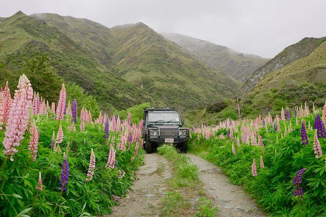 Macetown 4WD Adventure Full Day Guided Tour from Queenstown - FAQ