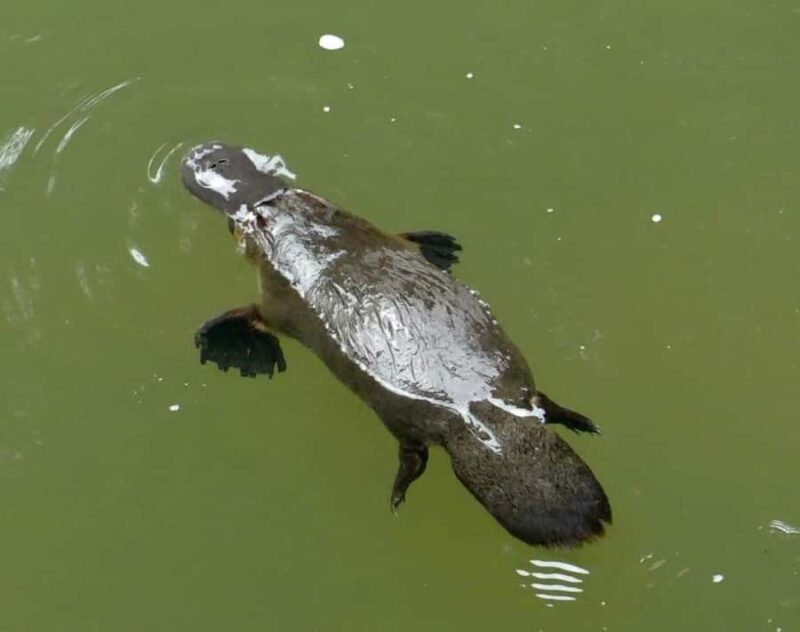 Mackay: 2-Day Adventure Package w/Accomm, Transfers & Tours - FAQ