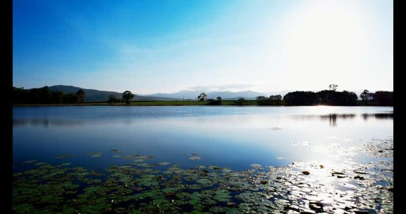 Mackay: 3 Hour Sugarcane Farm Tour - FAQ