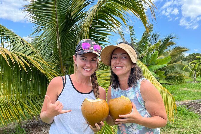 Macnut Tour, Picnic lunch and Maui Bees - Key Points