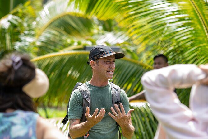 Macnut Tour, Picnic lunch and Maui Bees - A Closer Look at the Macnut Tour Experience