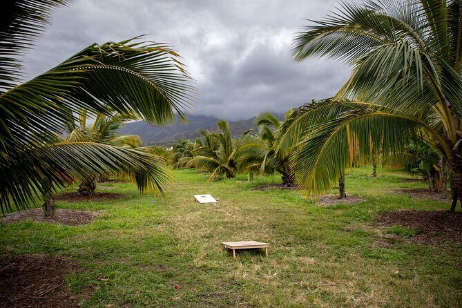Macnut Tour, Picnic lunch and Maui Bees - Who Will Love This Tour?