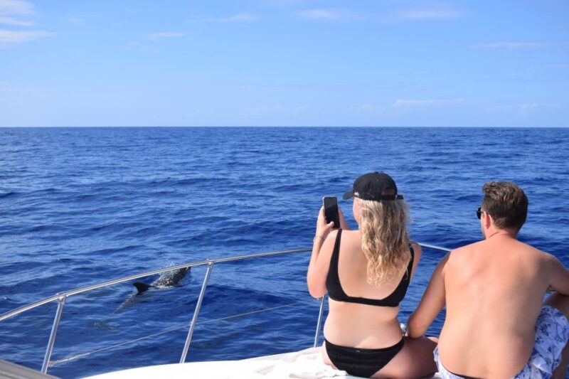 Madeira: 2.5-Hour Whale and Dolphin-Watching Cruise - Final Thoughts