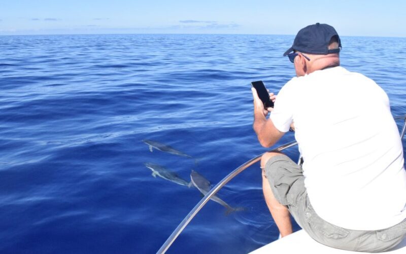 Madeira: 2.5-Hour Whale and Dolphin-Watching Cruise - FAQ