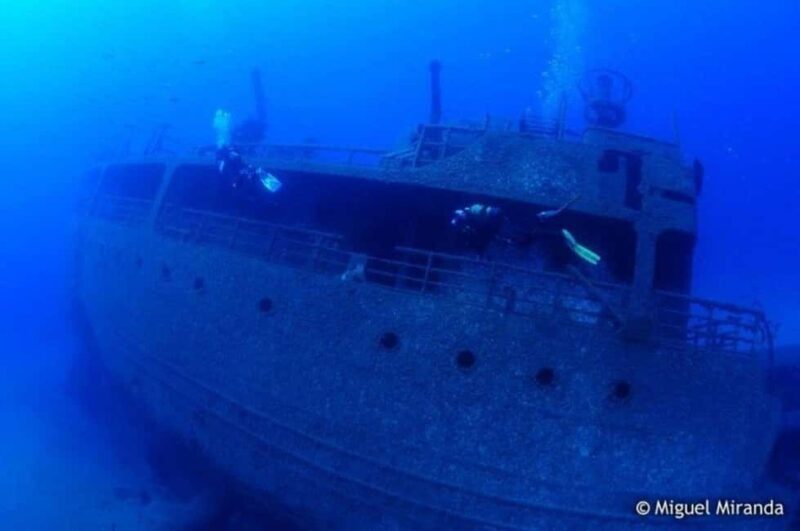 Madeira: 4-hour Scuba Dive from Porto Santo Island - What to Expect from this Porto Santo Scuba Tour