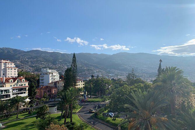 Madeira Airport Private Transfers Service To Funchal - The Booking Process and Flexibility