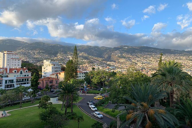 Madeira Airport Round Trip Private Transfers Services - Introduction