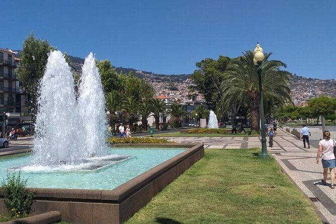 Madeira Airport Round Trip Private Transfers Services - Final Thoughts