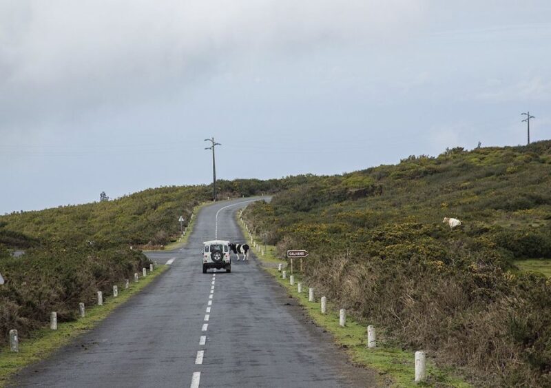 Madeira: Amazing West - Porto Moniz - Key Points