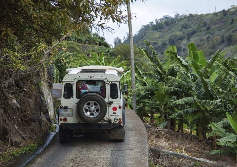 Madeira: Amazing West - Porto Moniz - The Sum Up