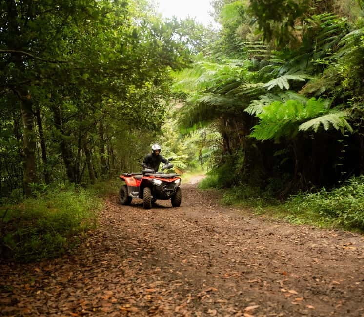 Madeira: Aventura Off-Road de ATV ou Quad - Adrenalina - Key Points