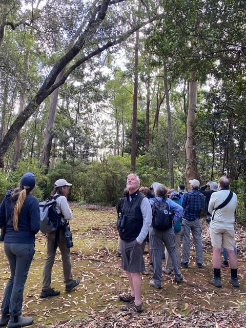 Madeira: Barn Owl Watching - FAQ